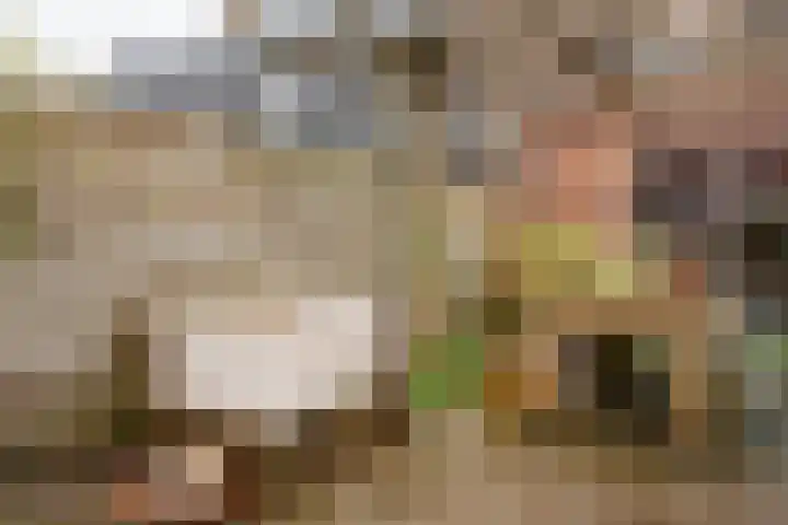 Juttepeer 7 Winkel thumbnail 21