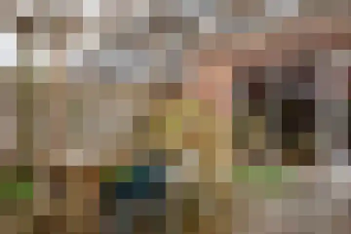 Juttepeer 7 Winkel thumbnail 22