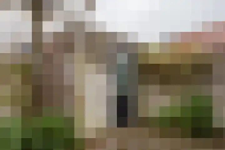 Juttepeer 7 Winkel thumbnail 23