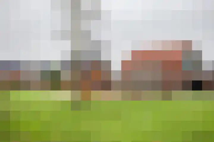 Juttepeer 7 Winkel thumbnail 26