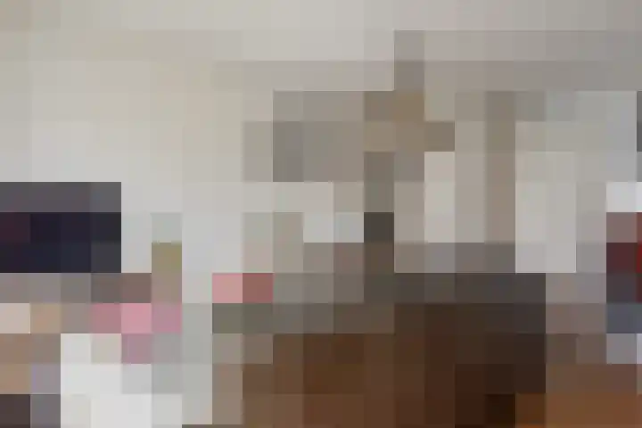 Juttepeer 7 Winkel thumbnail 7