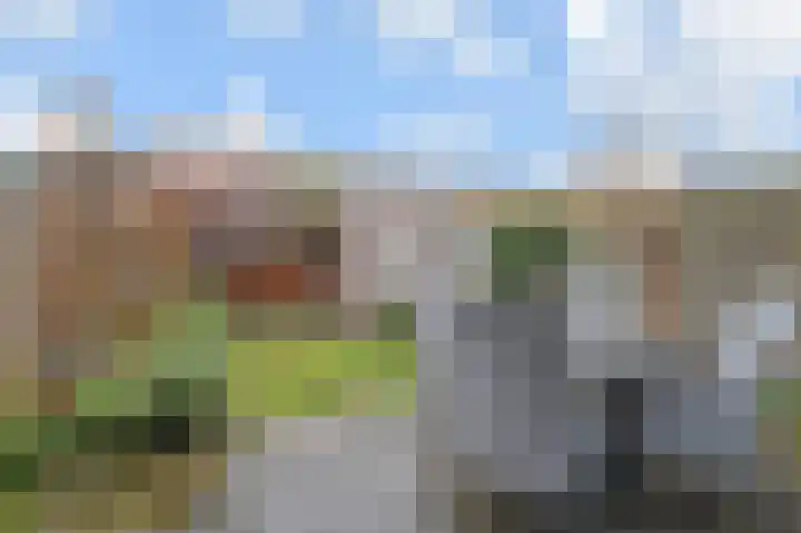 Juttepeer 72 Den Hoorn thumbnail 14