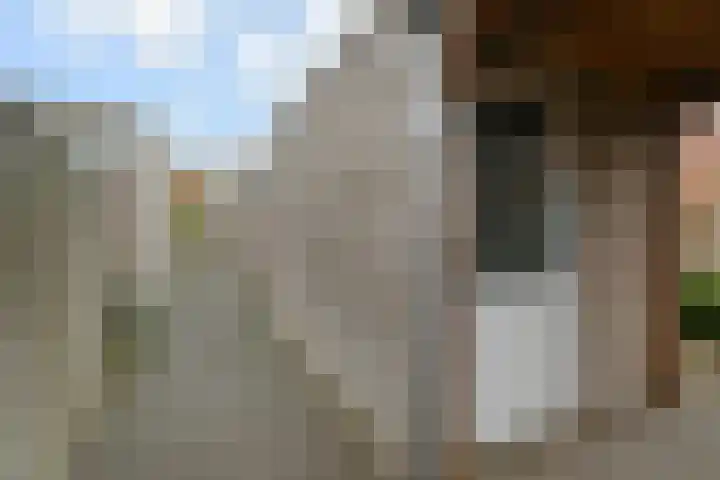 Juttepeer 72 Den Hoorn thumbnail 16