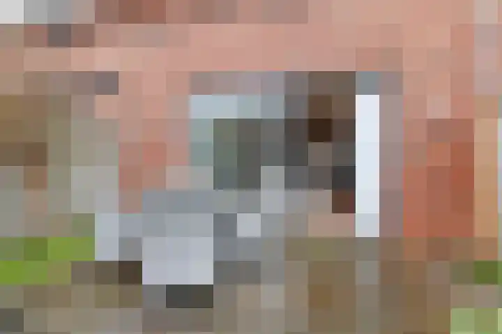 Juttepeer 72 Den Hoorn thumbnail 17
