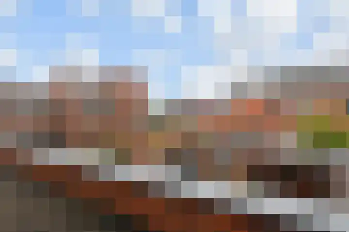 Juttepeer 72 Den Hoorn thumbnail 30