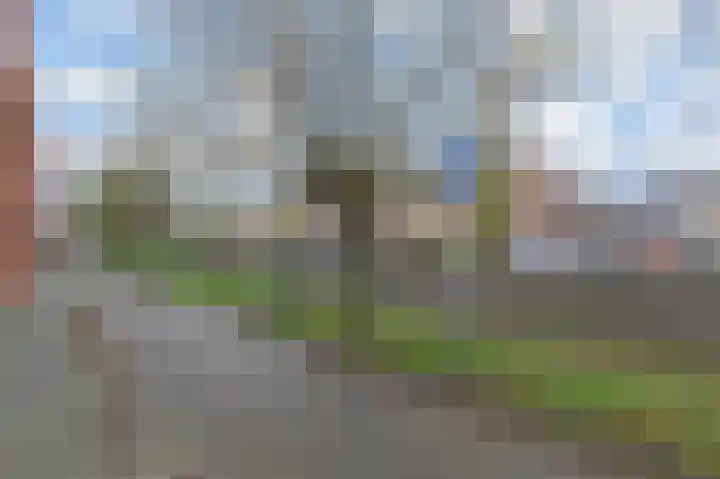 Juttepeer 72 Den Hoorn thumbnail 33