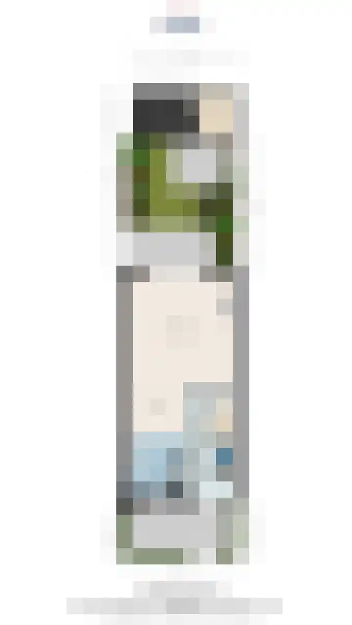 Juttepeer 72 Den Hoorn thumbnail 42