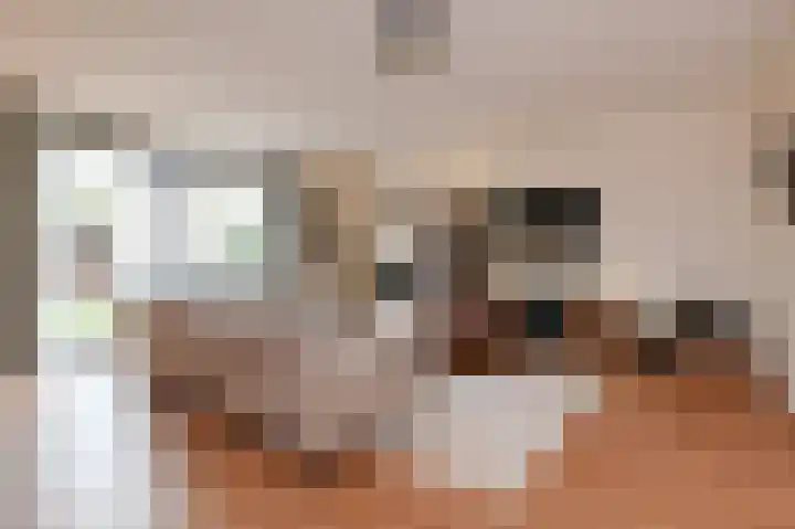 Juttepeer 72 Den Hoorn thumbnail 6