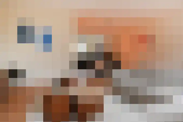 Juttepeer 72 Den Hoorn thumbnail 9