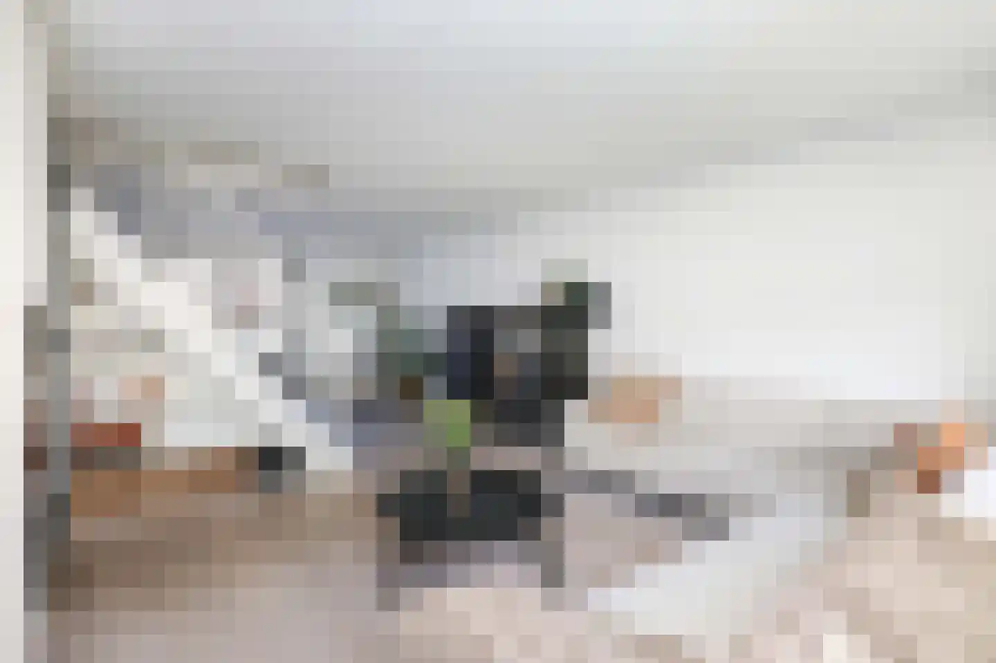 Juttepeergaarde 9 Amersfoort thumbnail 11