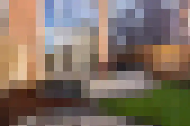Juttepeerpad 27 Amsterdam thumbnail 30