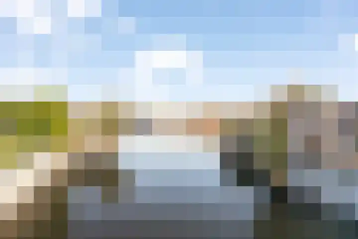 Juttepeerpad 27 Amsterdam thumbnail 37