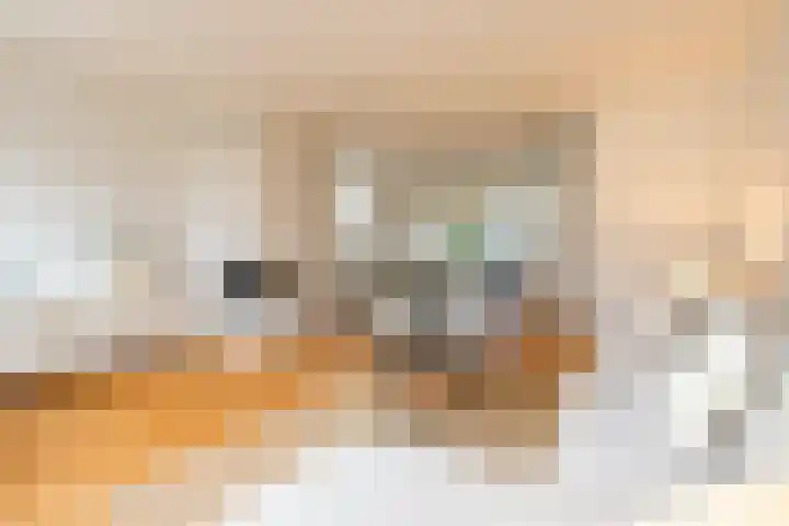 Juttepeerpad 27 Amsterdam thumbnail 6