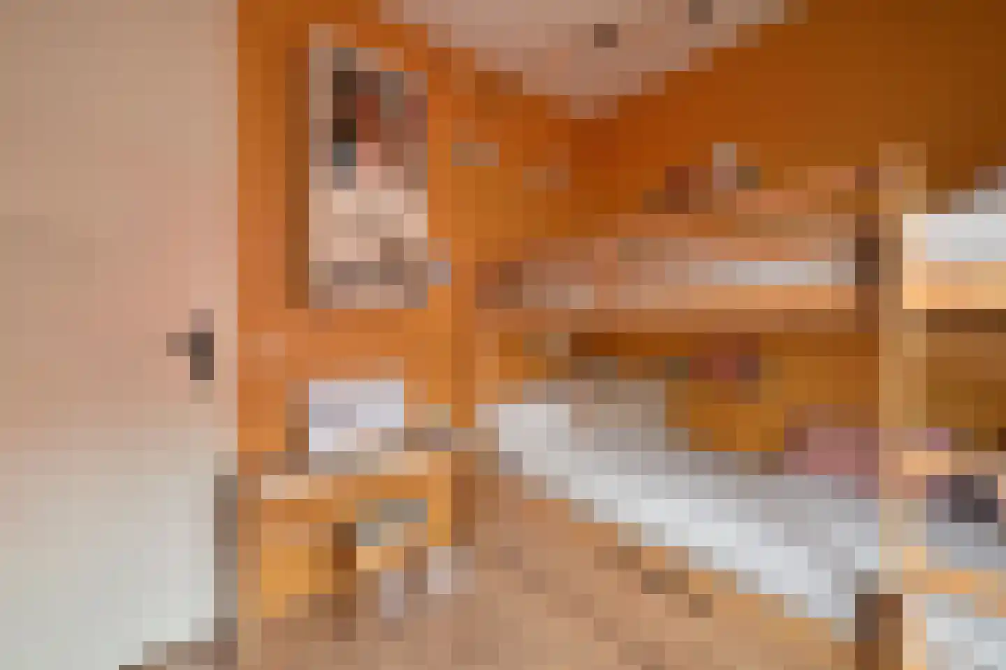 Juttepeerpad 3 Amsterdam thumbnail 21