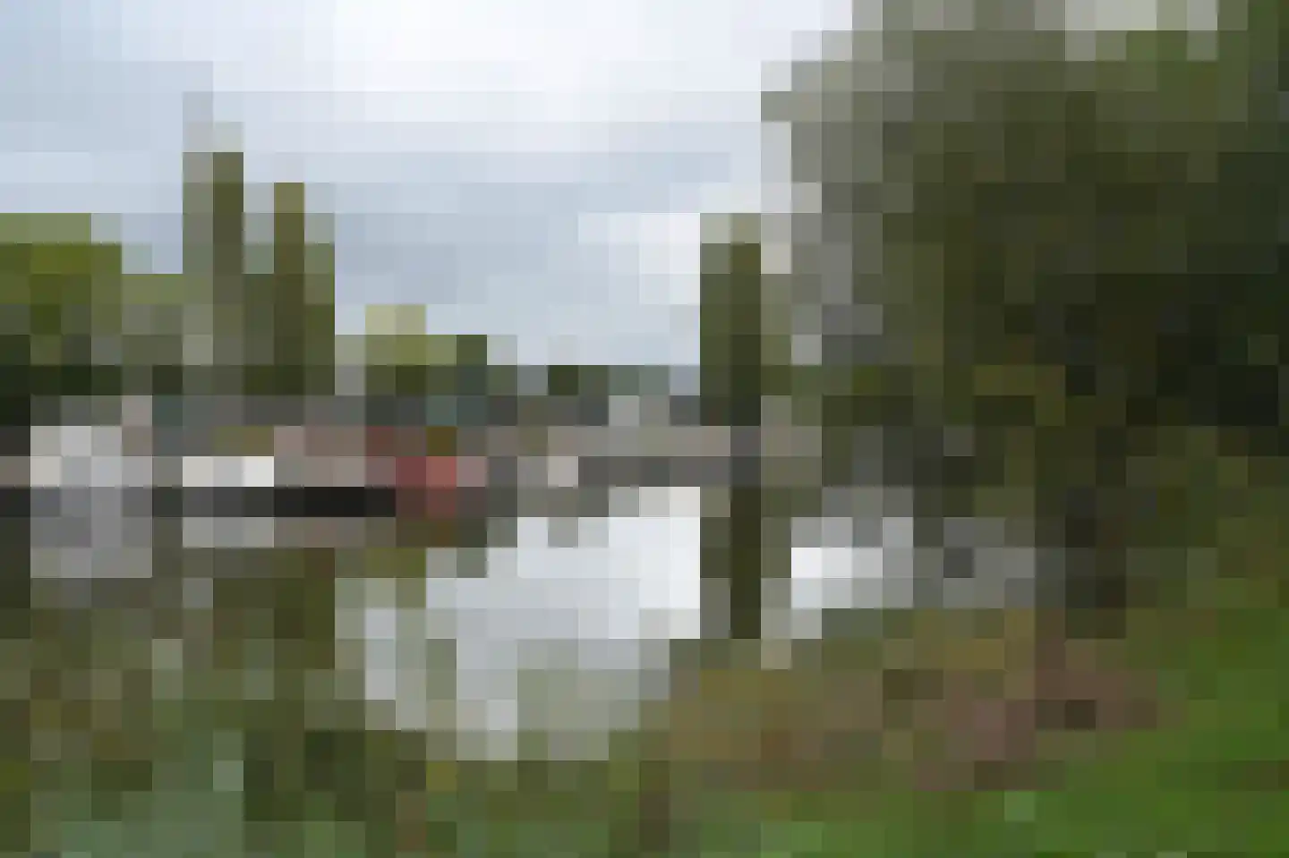 Juttepeerpad 3 Amsterdam thumbnail 27