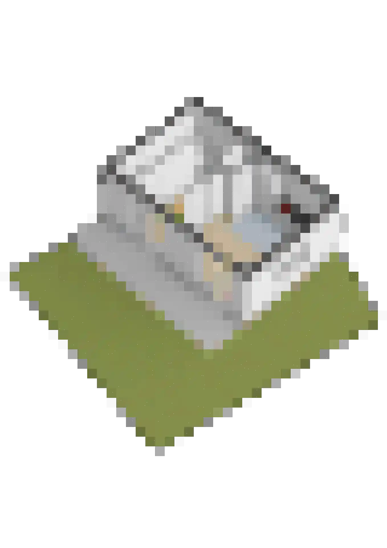 Juttepeerpad 3 Amsterdam thumbnail 31