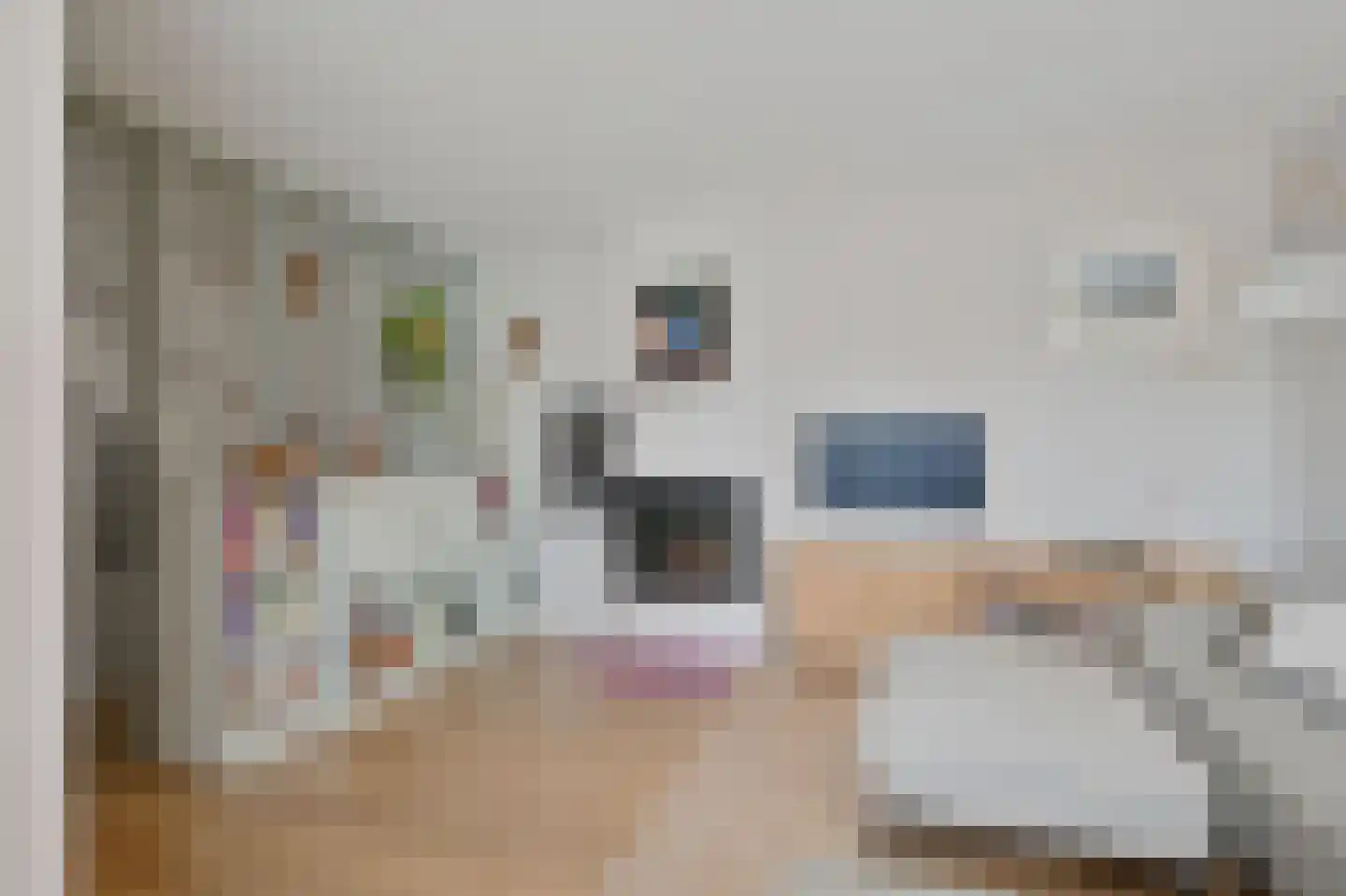 Juttepeerpad 3 Amsterdam thumbnail 4