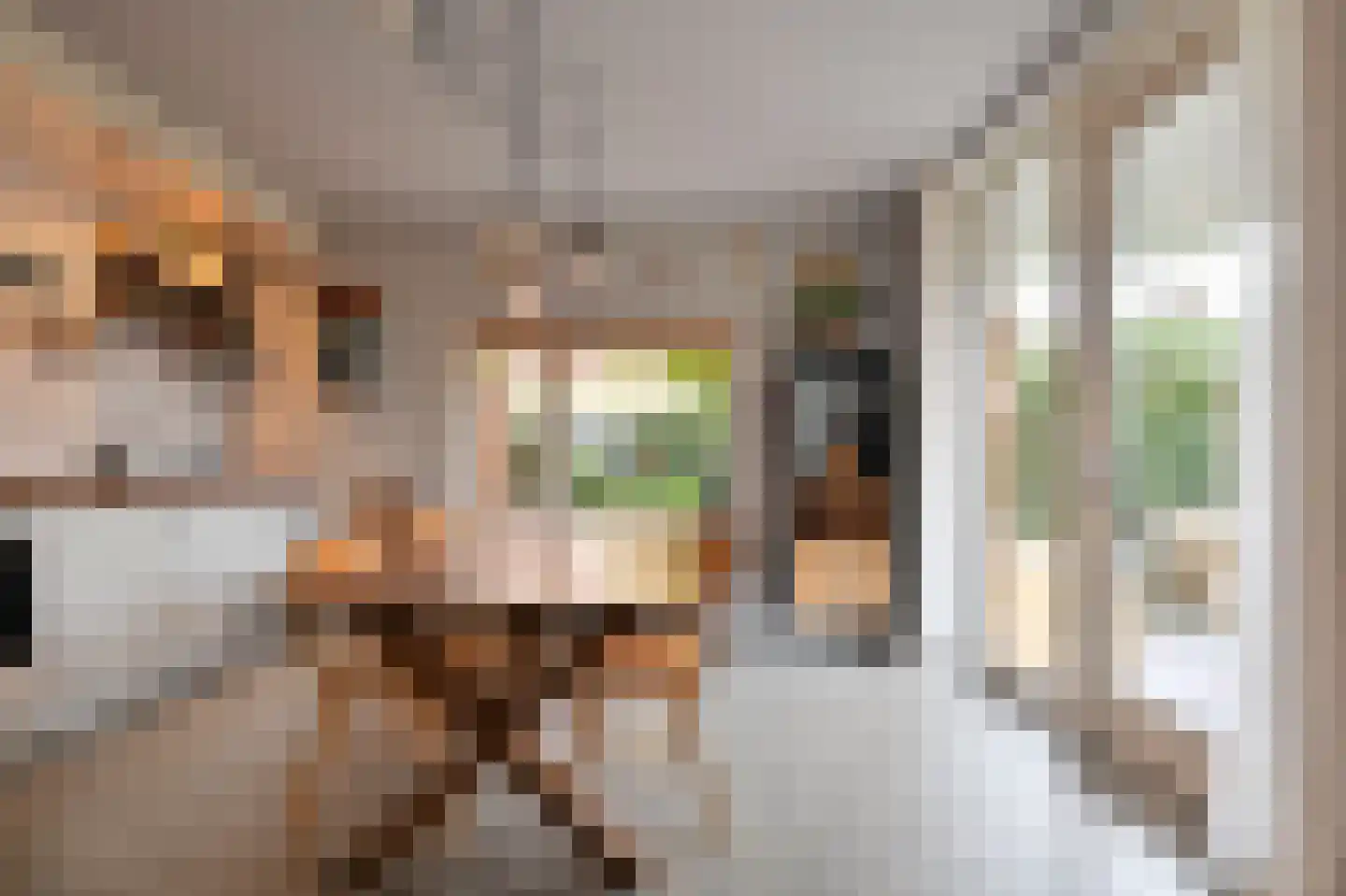 Juttepeerpad 3 Amsterdam thumbnail 7