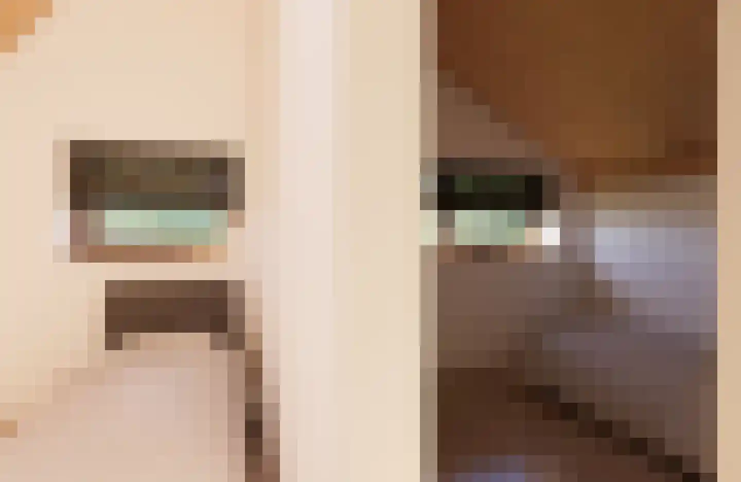 Juttestuk 1 Megchelen thumbnail 11