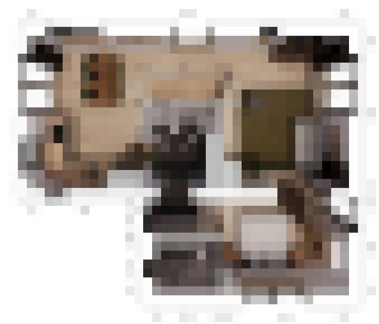Juttestuk 1 Megchelen thumbnail 12