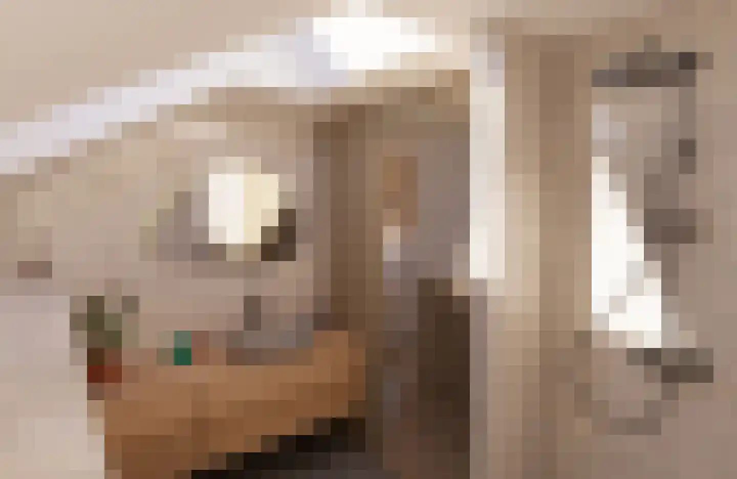Juttestuk 1 Megchelen thumbnail 9