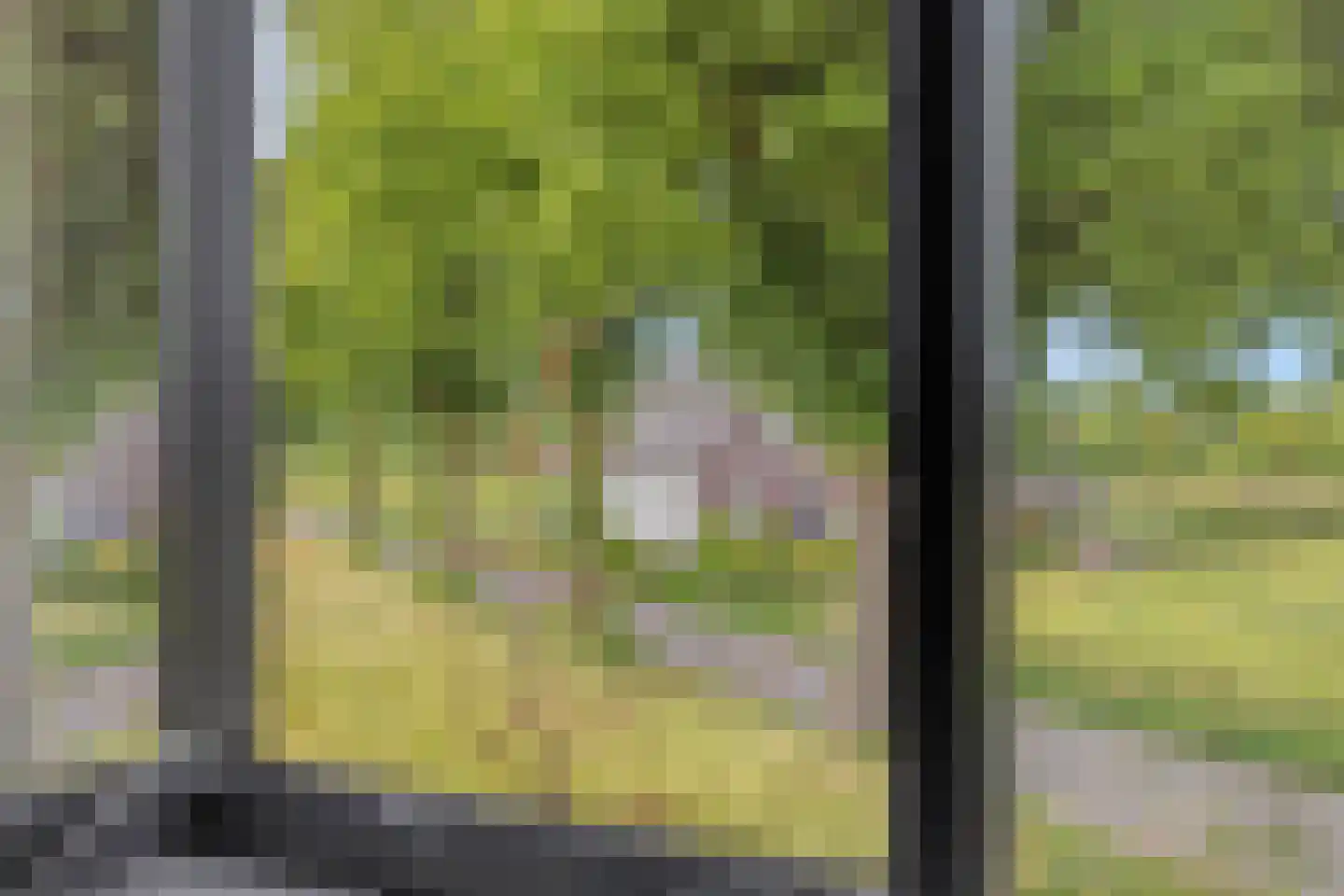 Juttestuk 11 Megchelen thumbnail 26