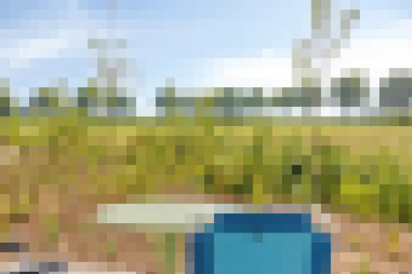 Juttestuk 11 Megchelen thumbnail 33