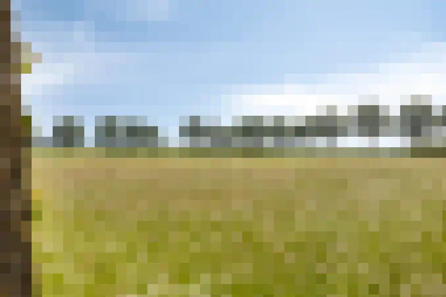 Juttestuk 11 Megchelen thumbnail 34