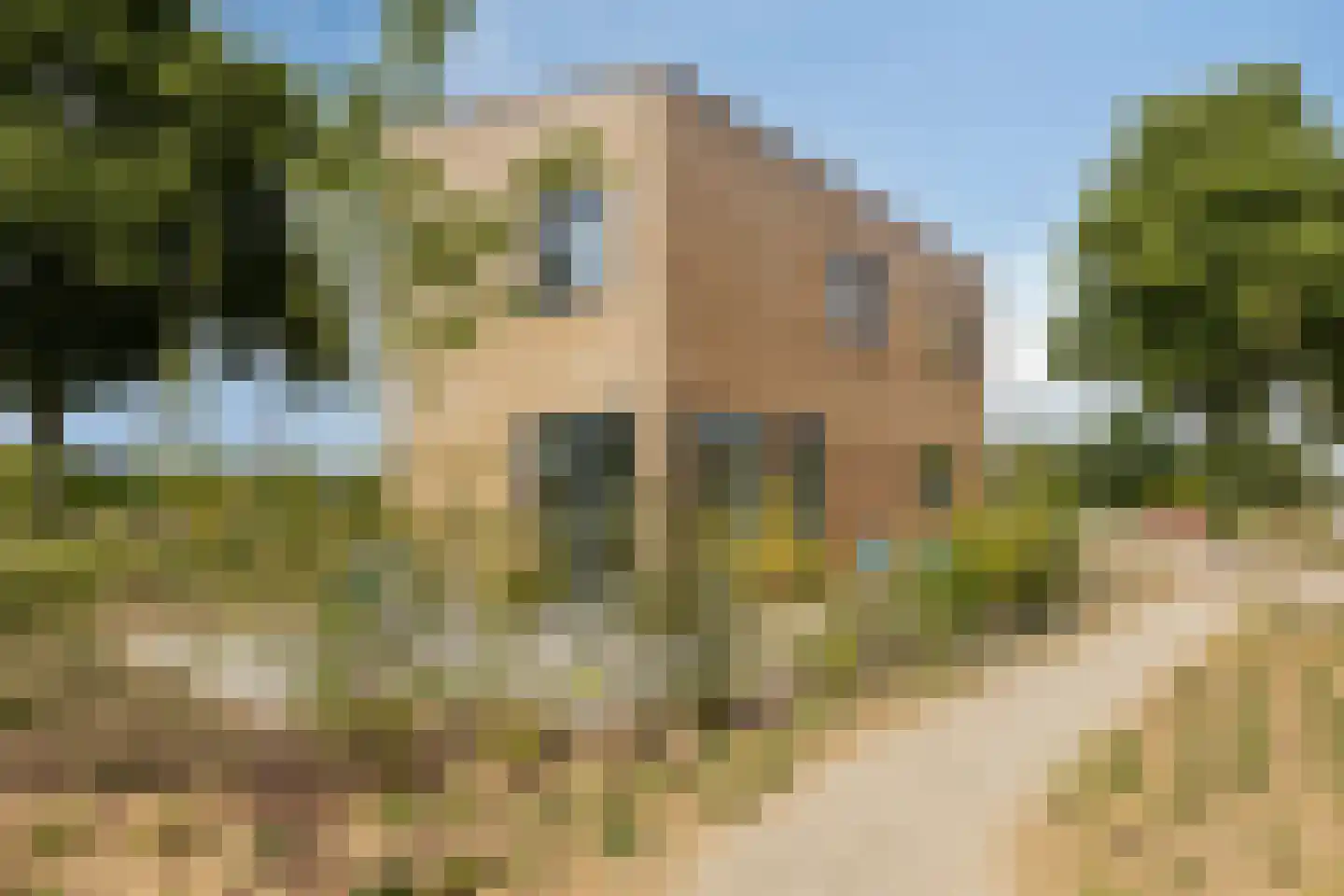 Juttestuk 11 Megchelen thumbnail 44