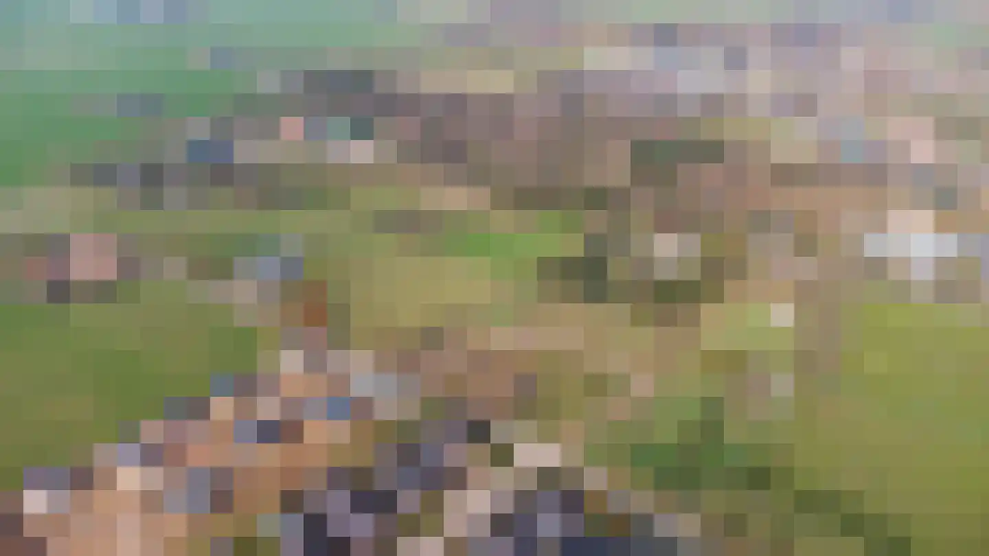 Juttestuk 11 Megchelen thumbnail 45