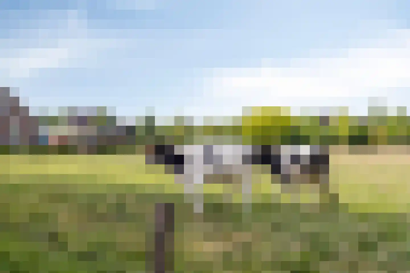 Juttestuk 11 Megchelen thumbnail 6
