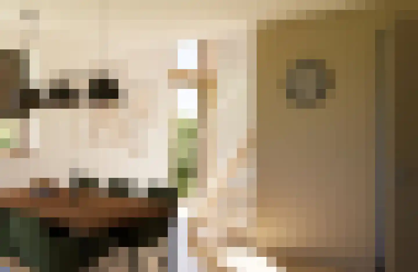 Juttestuk 2 Megchelen thumbnail 4