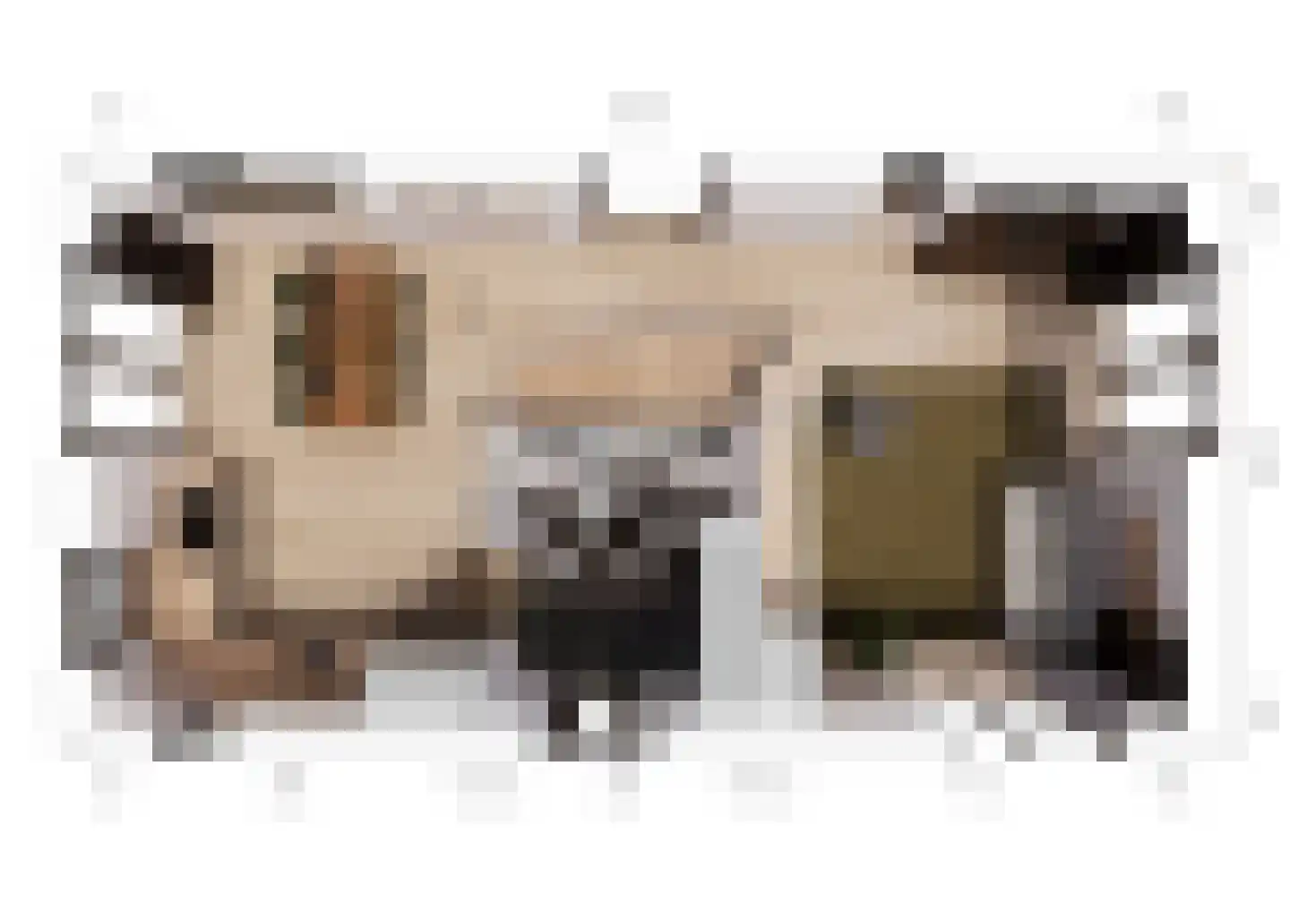 Juttestuk 8 Megchelen thumbnail 11