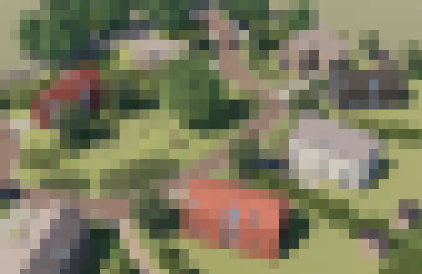 Juttestuk 8 Megchelen thumbnail 21