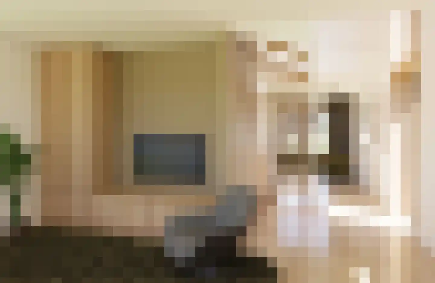 Juttestuk 8 Megchelen thumbnail 5