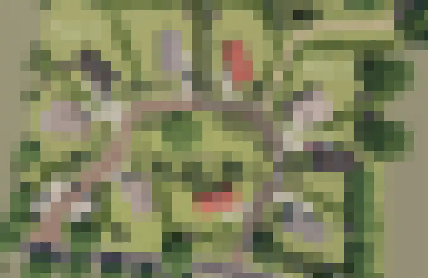 Juttestuk 9 Megchelen thumbnail 18