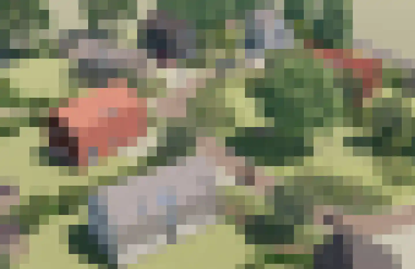 Juttestuk 9 Megchelen thumbnail 20