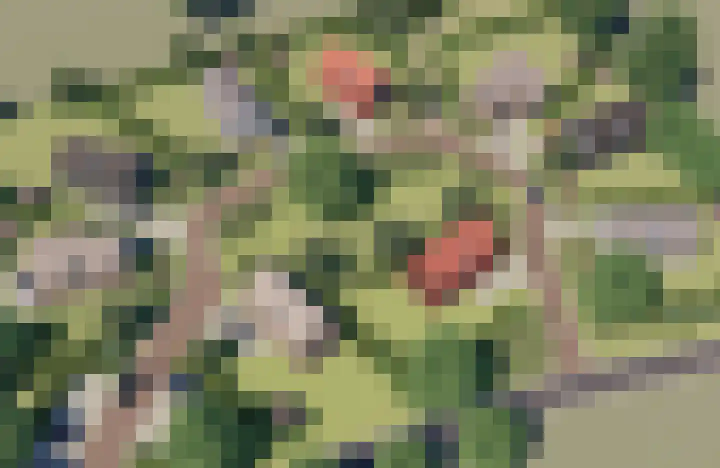 Juttestuk 9 Megchelen thumbnail 4