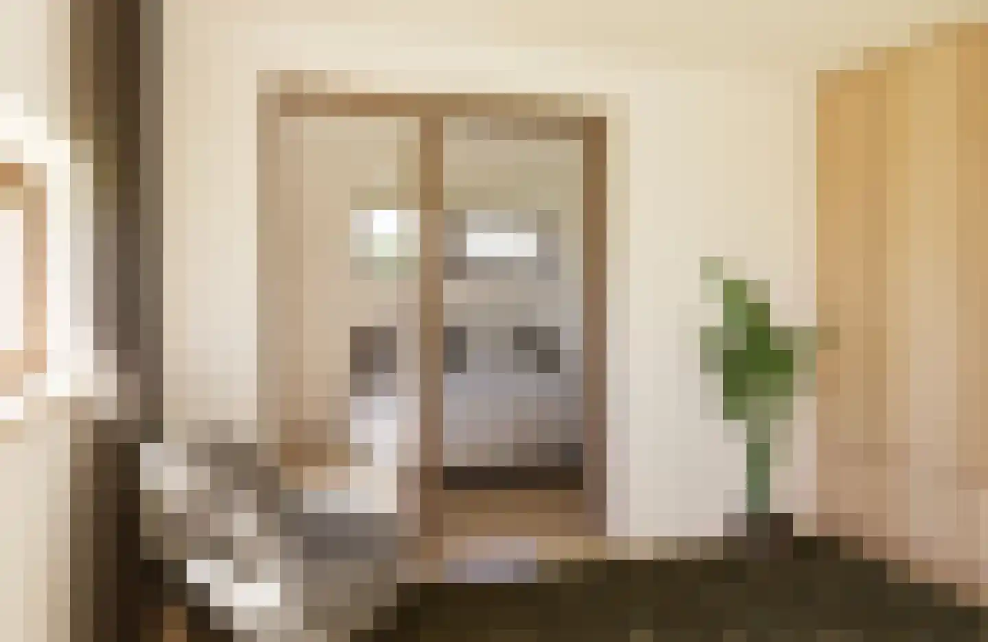 Juttestuk 9 Megchelen thumbnail 7