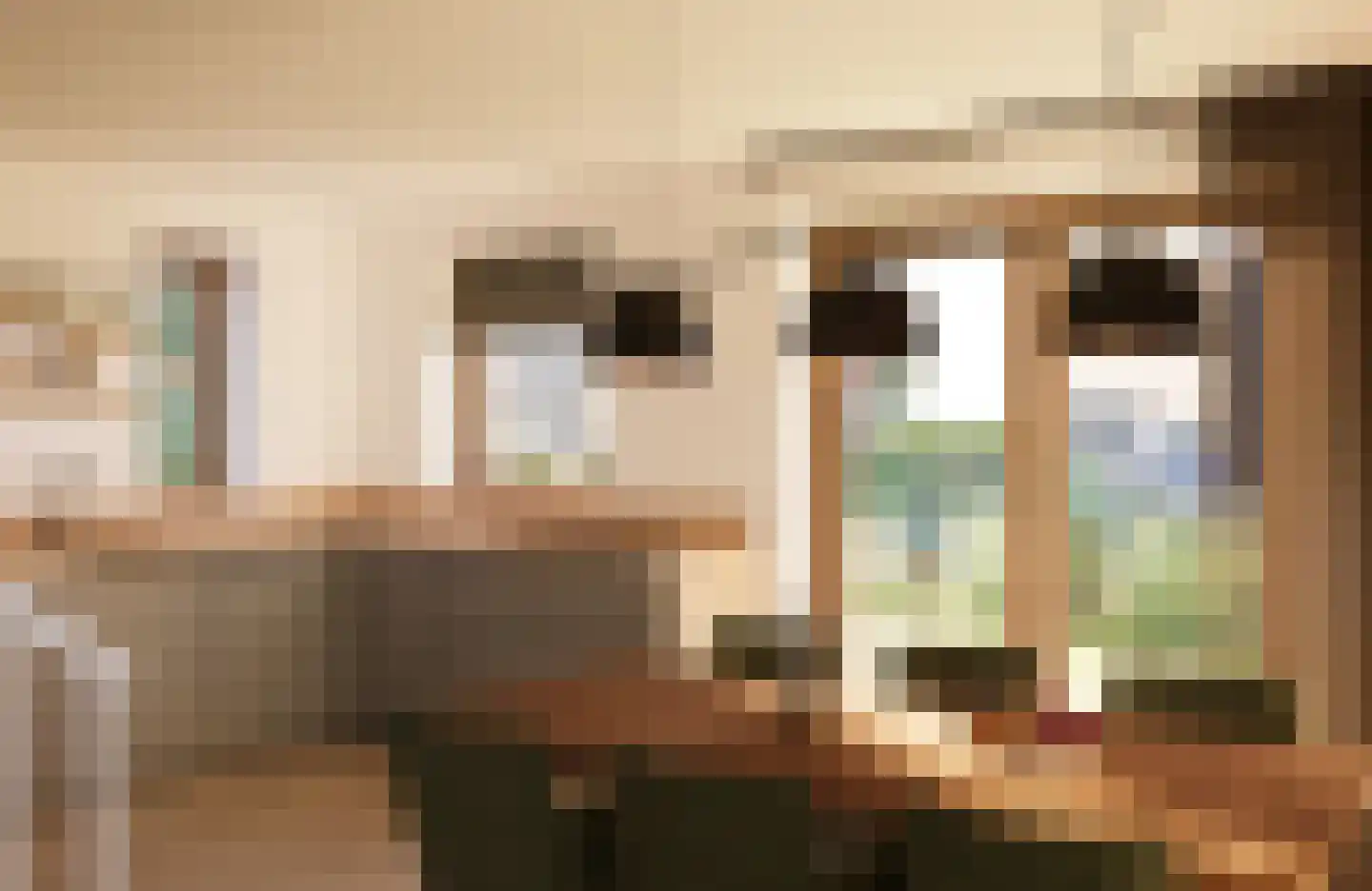 Juttestuk 9 Megchelen thumbnail 7
