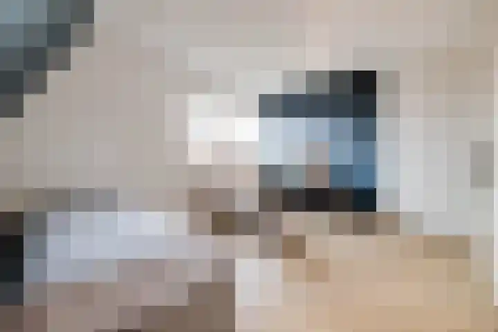 Juul Paatsstraat 40 Apeldoorn thumbnail 18