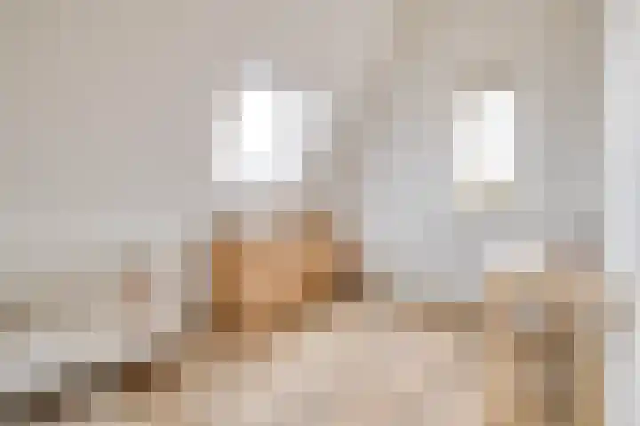 Juul Paatsstraat 40 Apeldoorn thumbnail 32