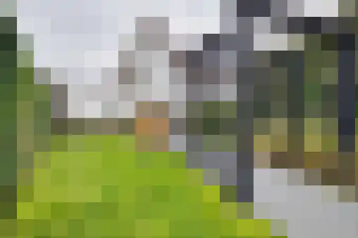 Juul Paatsstraat 40 Apeldoorn thumbnail 37