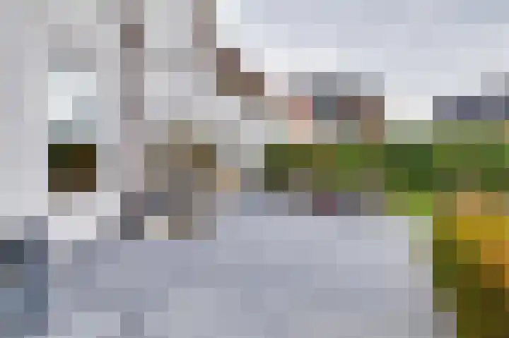Juul Paatsstraat 40 Apeldoorn thumbnail 38