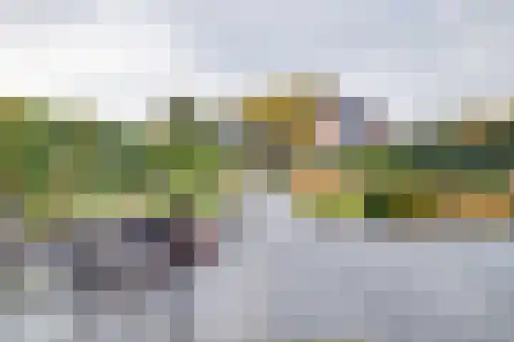 Juul Paatsstraat 40 Apeldoorn thumbnail 40