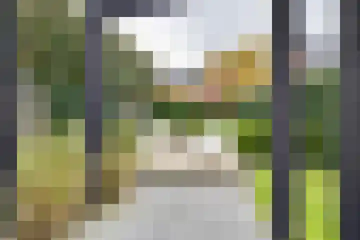 Juul Paatsstraat 40 Apeldoorn thumbnail 42