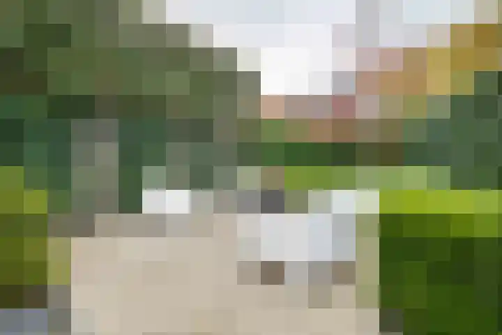 Juul Paatsstraat 40 Apeldoorn thumbnail 43