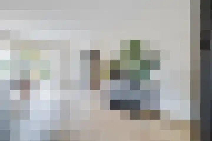 Juul Paatsstraat 40 Apeldoorn thumbnail 8