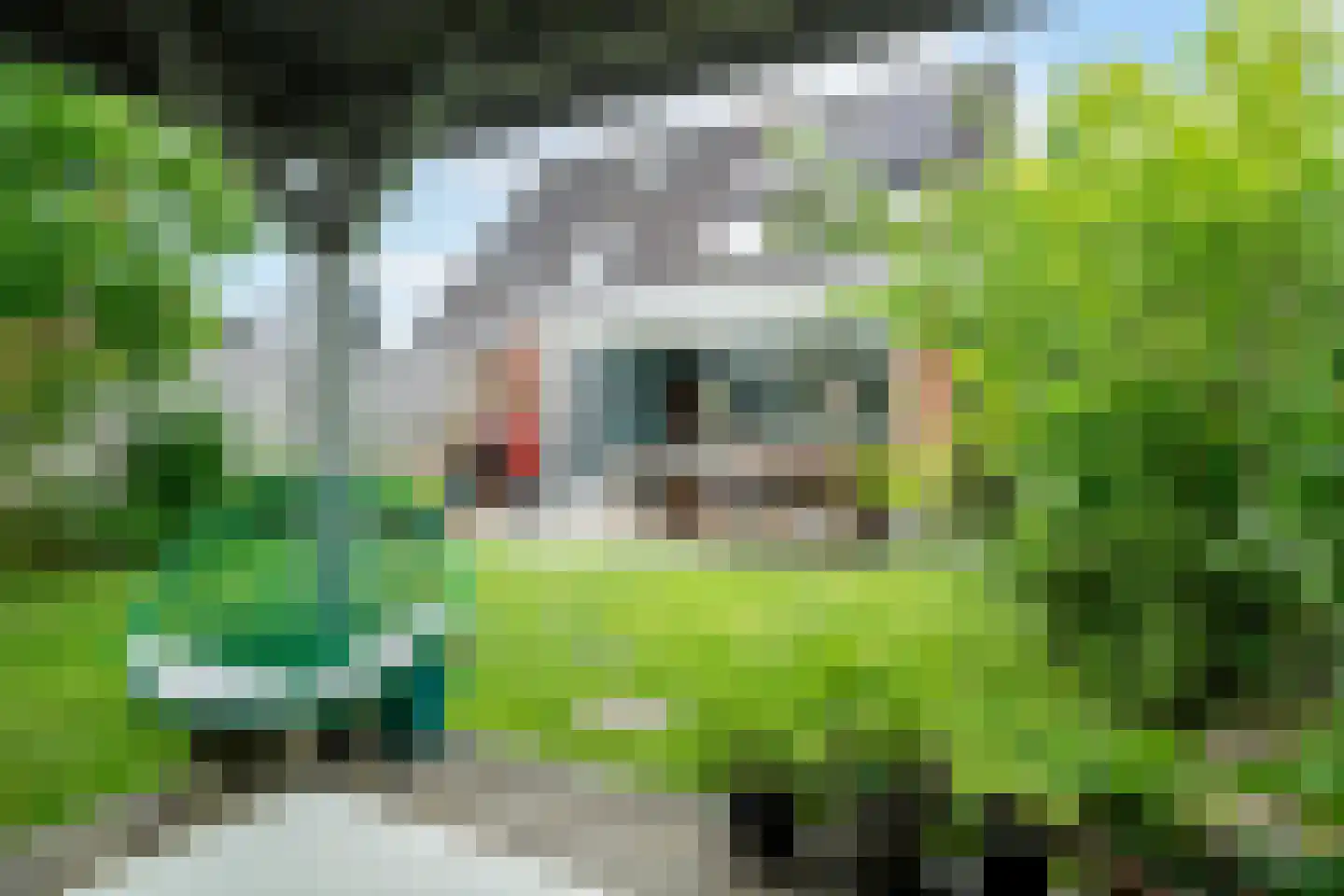 Juursemakluft 5 in Grijpskerk