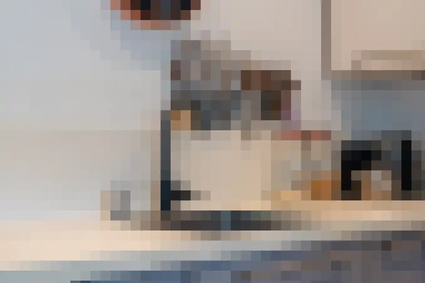 Juursemakluft 5 Grijpskerk thumbnail 25